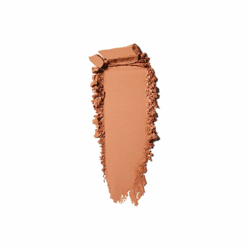 MAC Studio Fix Powder Plus Foundation image number 172