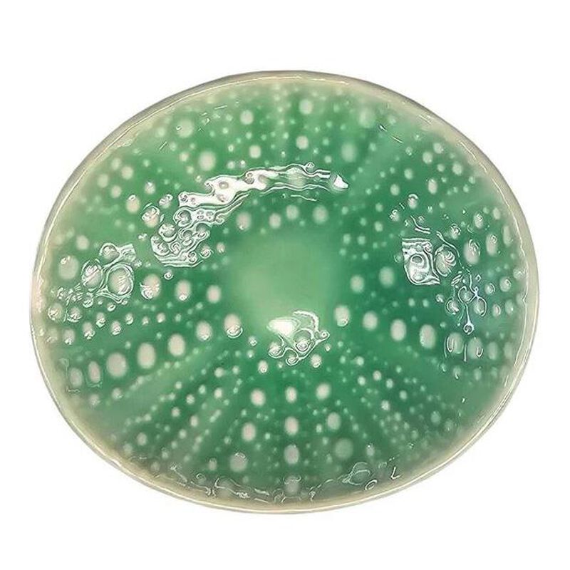 Jo Luping Kina Aqua 10cm Bowl image number 1