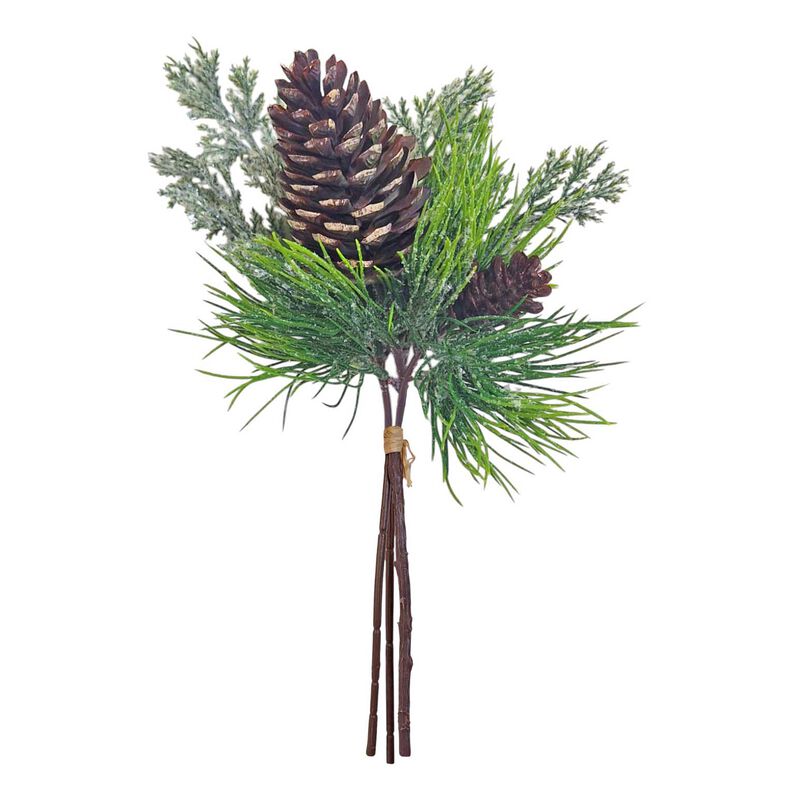 Pine Cone X 2 With Foliage image number 0