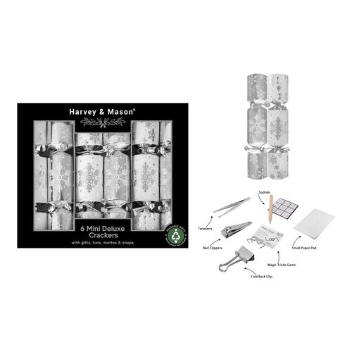 Mini Silver Crackers 6