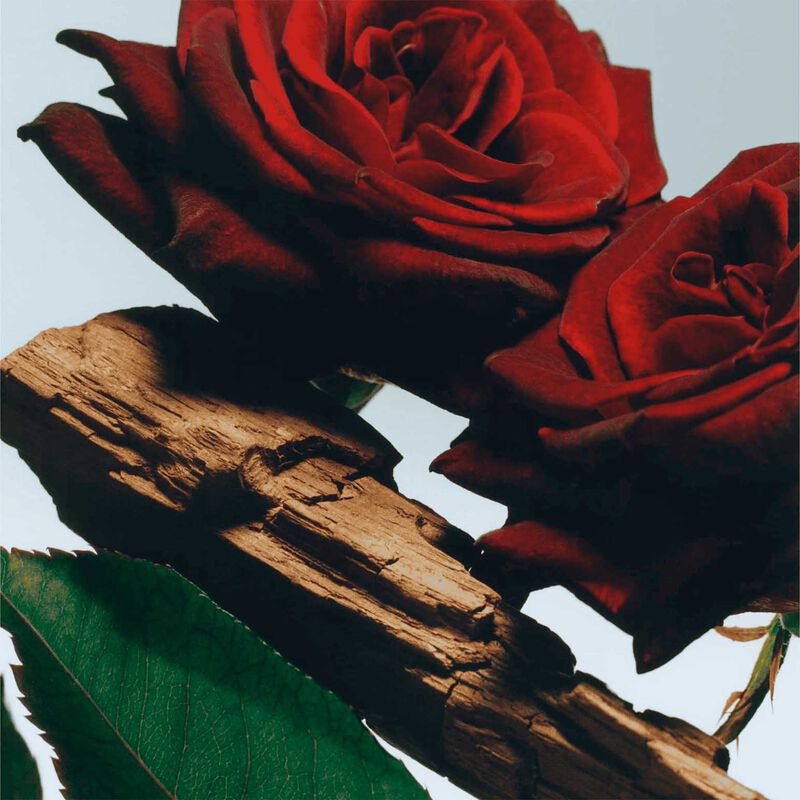 Jo Malone London Body Cr&egrave;me - Velvet Rose & Oud image number 1