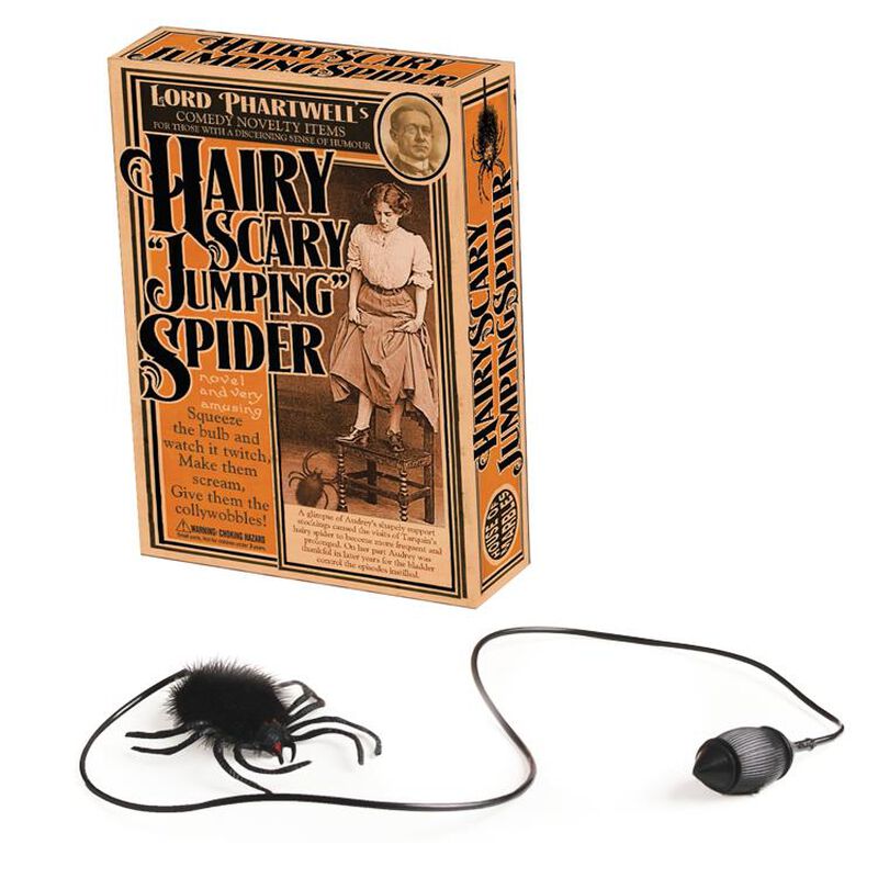 House Of Marbles Hairy Scary Jumping Spider image number 0
