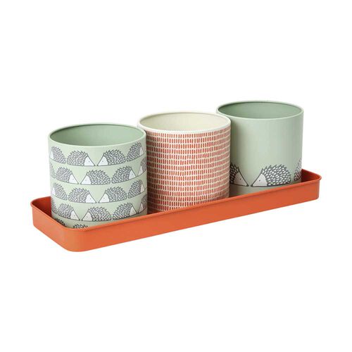 Scion By Dexam Spike Set Of 3 Herb Pots