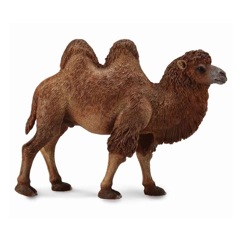 CollectA Bactrian Camel image number 0