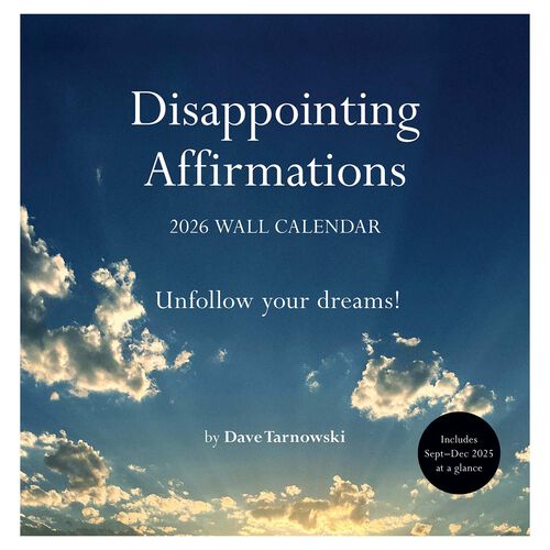 Disappointing Affirmations 2026 Wall Calendar
