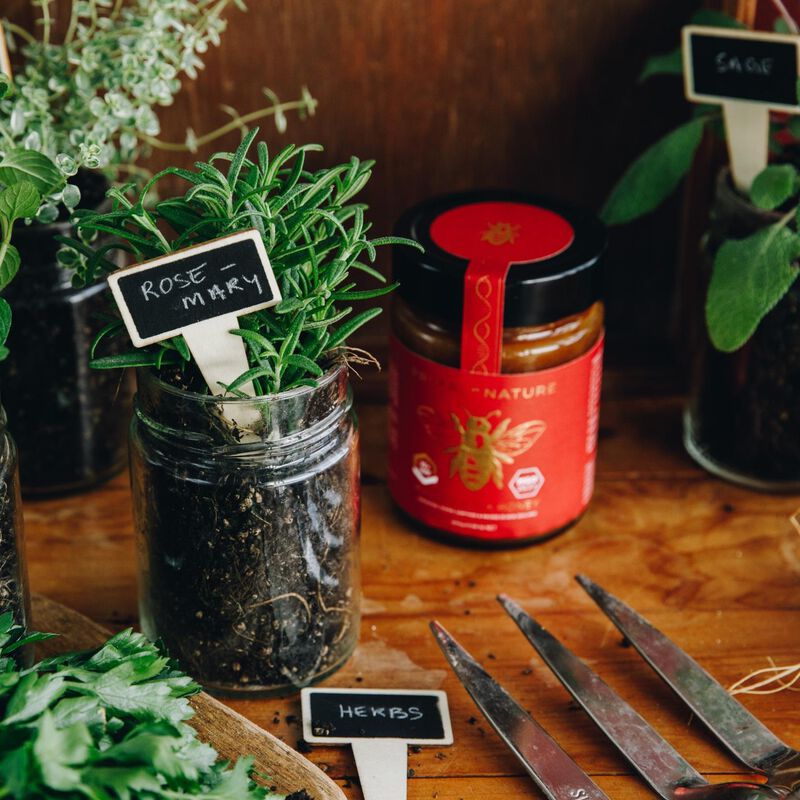 Primal By Nature Honey UMF 10+ 250g image number 1