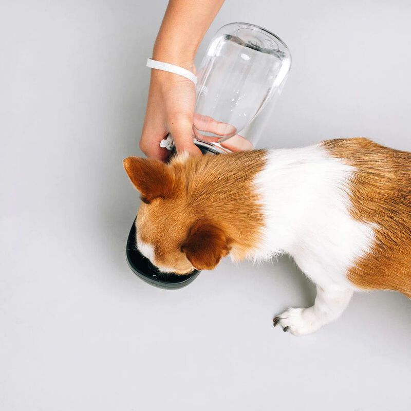 ThirstyDog Water Bottle - Black image number 1