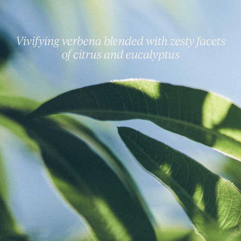 L'Occitane Shea Soap - Verbena 250G image number 3