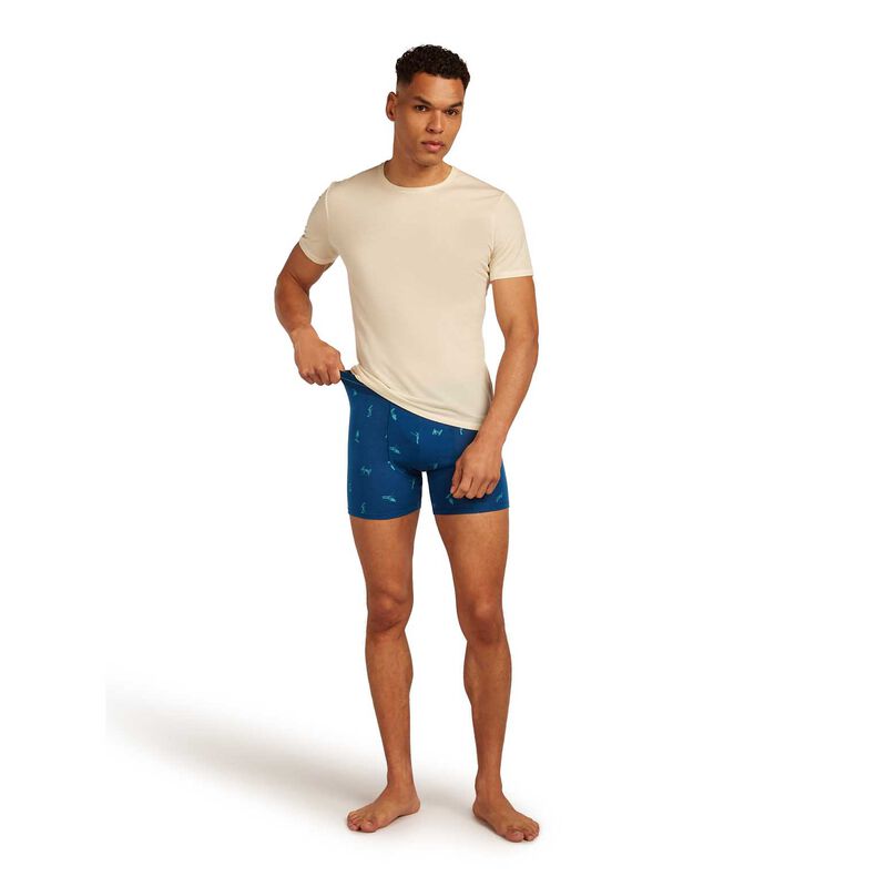 Icebreaker M Merino 150 Anatomica Boxers Ski Day image number 3