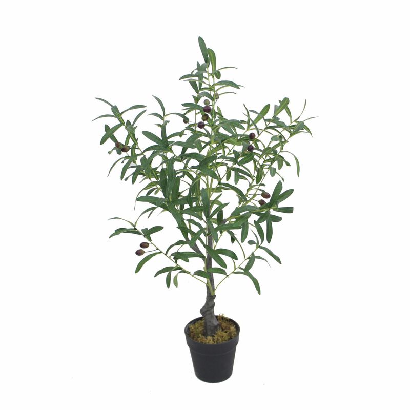 Capulet Olive Tree 85cm image number 0