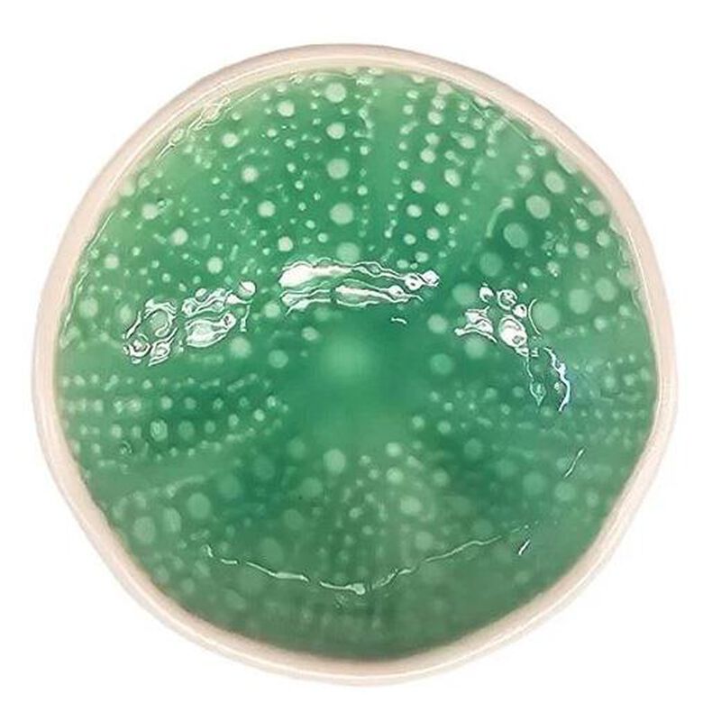 Jo Luping Kina Aqua 7cm Bowl image number 1