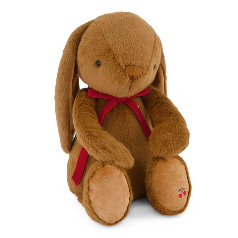 Snuggle Bunnies Penelope 45cm image number 11