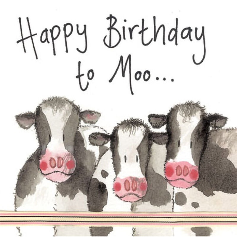 Alex Clark Cows Coaster image number 0