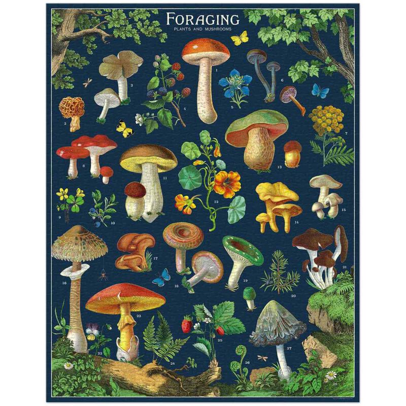 Cavallini Foraging 1000 Piece Vintage Puzzle image number 1