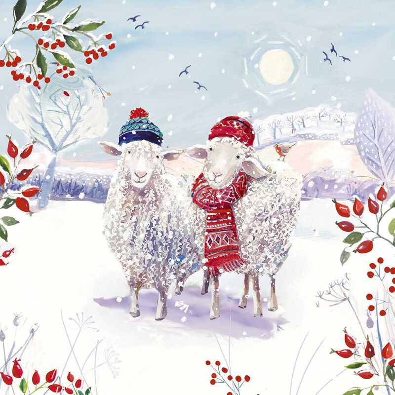 Two Sheep And Robin Christmas Small Charity Pack image number 0
