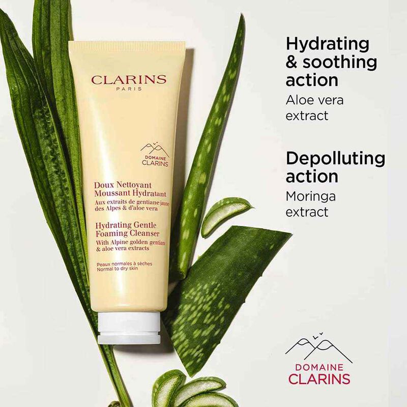 Clarins Cleansing Essentials Normal Skin Set image number 2