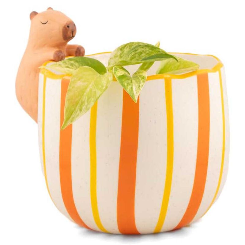 Sass & Belle Peeking Capybara Planter image number 1