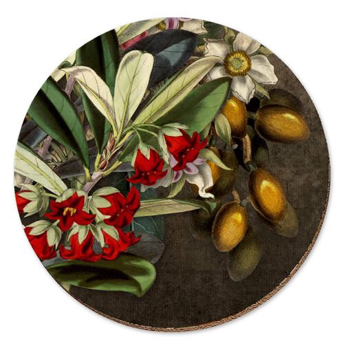 Tanya Wolfkamp Karo & Karaka Berries Coaster