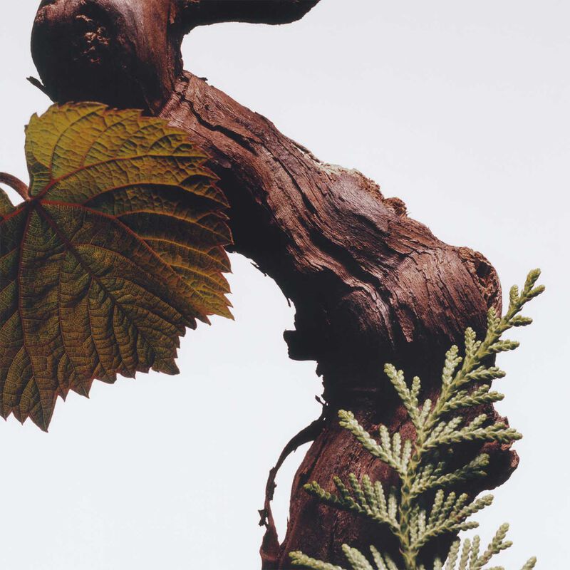 Jo Malone London Car Diffuser Cypress & Grapevine Refill Cartridge image number 2