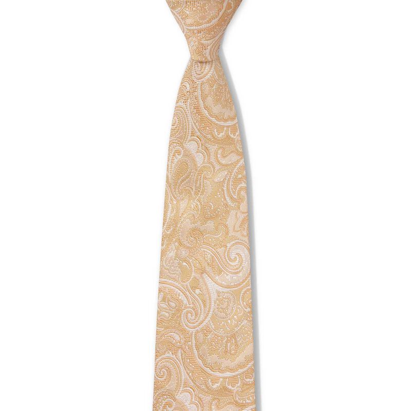 Joe Black Jb Tonal Paisley 7.5Cm Tie image number 6