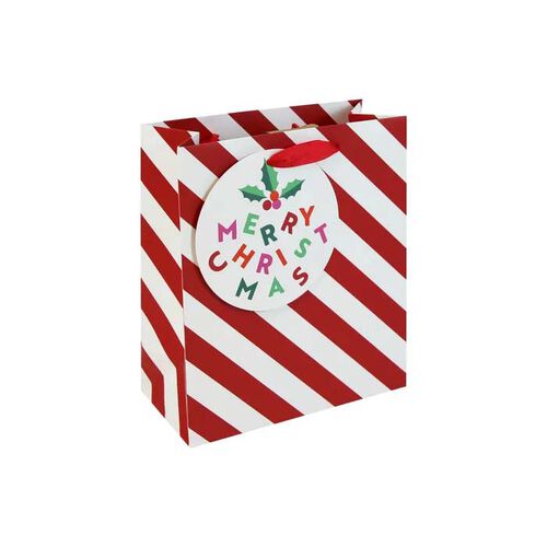 Paperie Eurowrap Candy Cane Medium Gift Bag