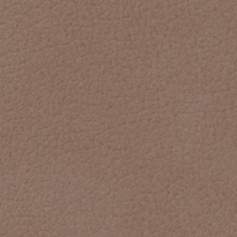 LIND DNA Coaster Curve Nupo - Truffle image number 2