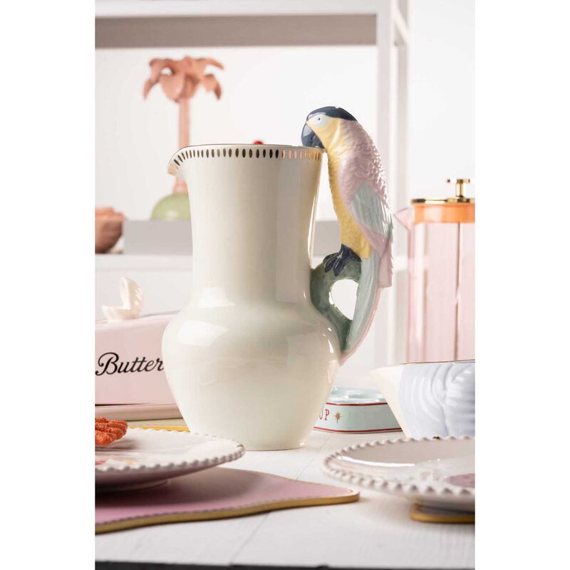 Yvonne Ellen Jug Parrot image number 1
