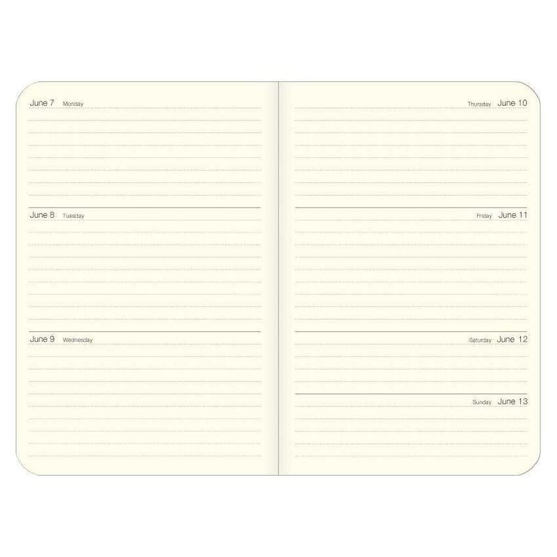 Cavallini Cats Weekly Planner 2027 image number 2