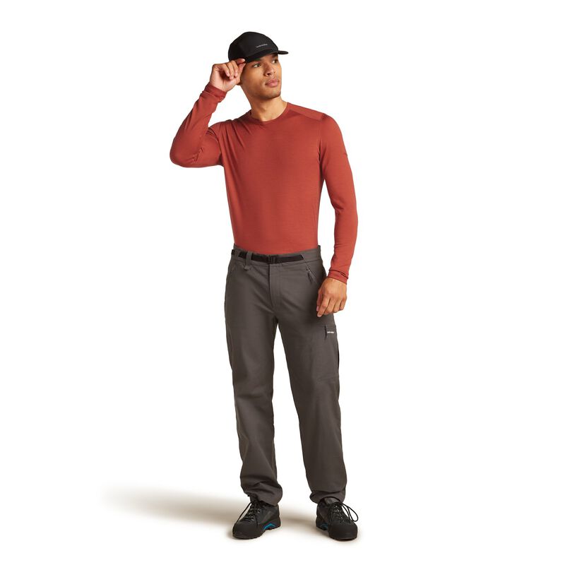 Icebreaker Mens 200 Oasis LS Crewe image number 11