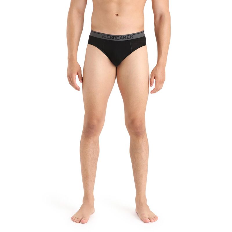 Icebreaker Mens Anatomica Briefs image number 0