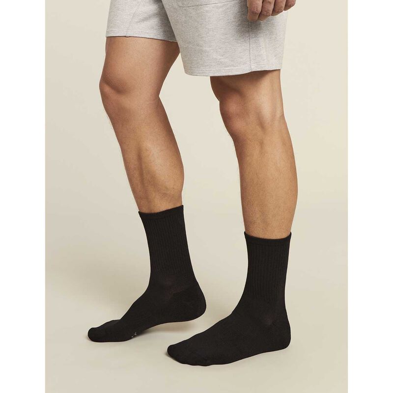 Boody Men's Cushioned Quarter Crew image number 2