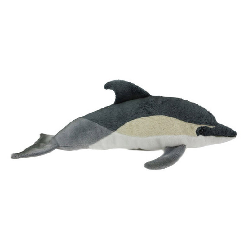 Antics Dolphin Common Sound image number 0