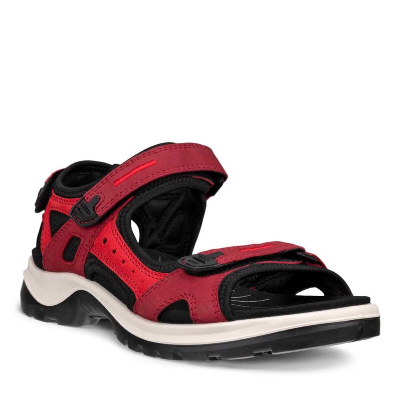 ECCO Offroad Brick image number 0