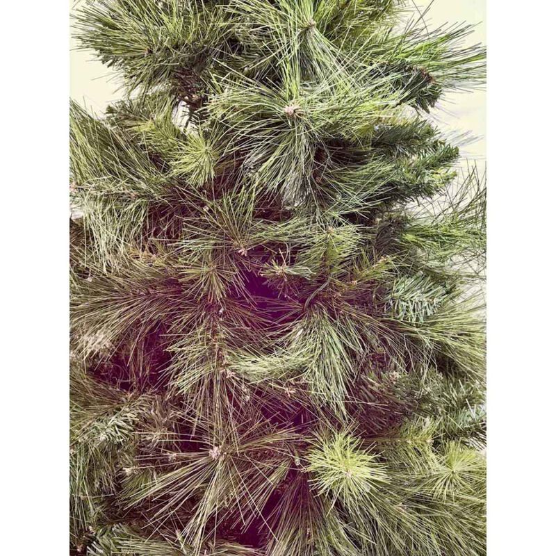 6 Foot Luxury Mixed Pine Christmas Tree with 550 LED Lights & 1176 Tips image number 3