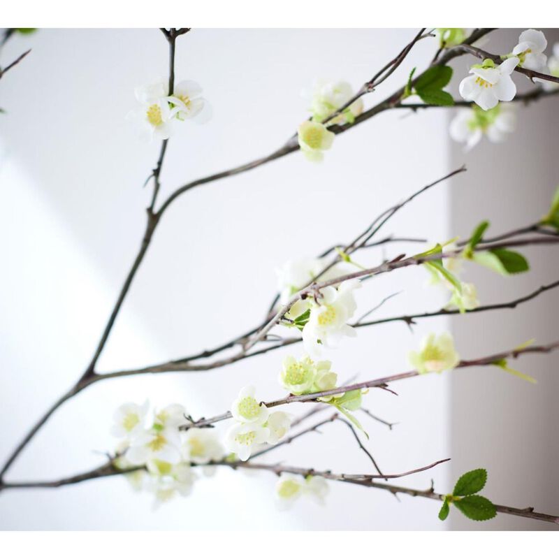 Pottery Barn Faux Oversized Blossom Branch image number 2