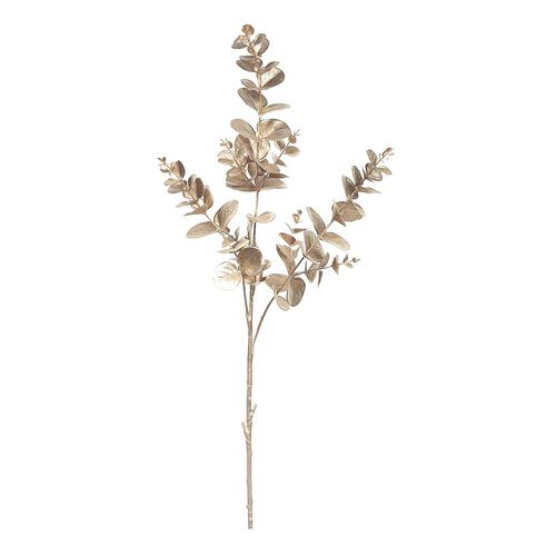 Large Eucalyptus Champagne 80cm