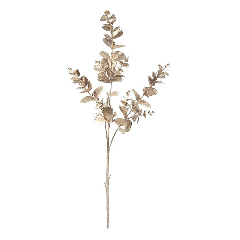 Large Eucalyptus Champagne 80cm image number 0