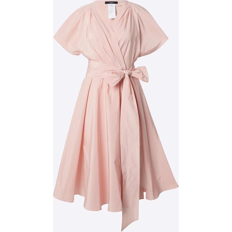 Weekend Max Mara Giambo Dress image number 2