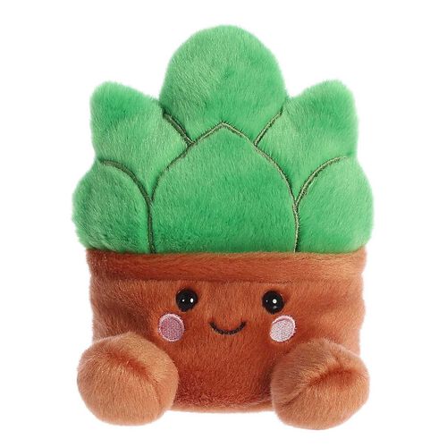 Palm Pals Gigi Succulent