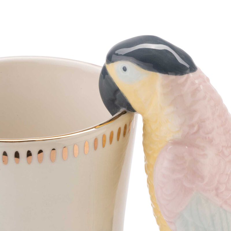 Yvonne Ellen Jug Parrot image number 2