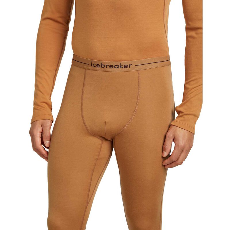 Icebreaker M 300 MerinoFine Polar Leggings image number 6