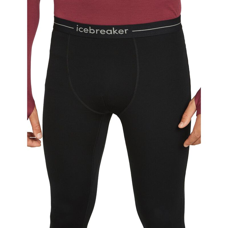 Icebreaker M 300 MerinoFine Polar Leggings image number 2