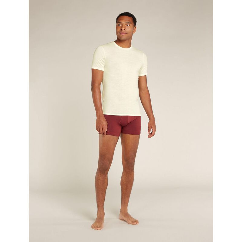 Icebreaker Mens Anatomica SS Crewe image number 3