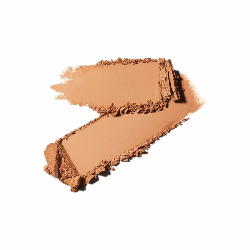 MAC Studio Fix Powder Plus Foundation image number 168