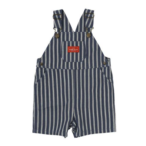Goldie + Ace Railroad Stripe Burton Overalls 3-5Y