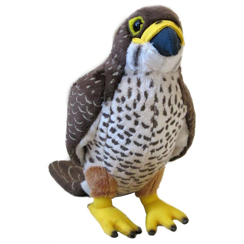 Antics NZ Falcon image number 0
