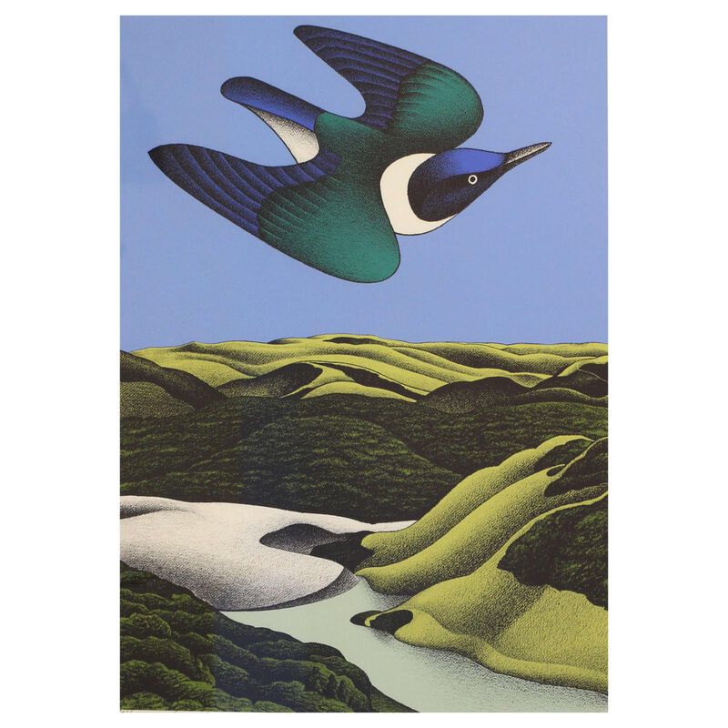 Don Binney Swoop Of The Kotare Wainamu Print image number 0