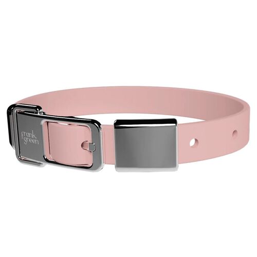 frank green Pet Collar + Name Tag - Medium