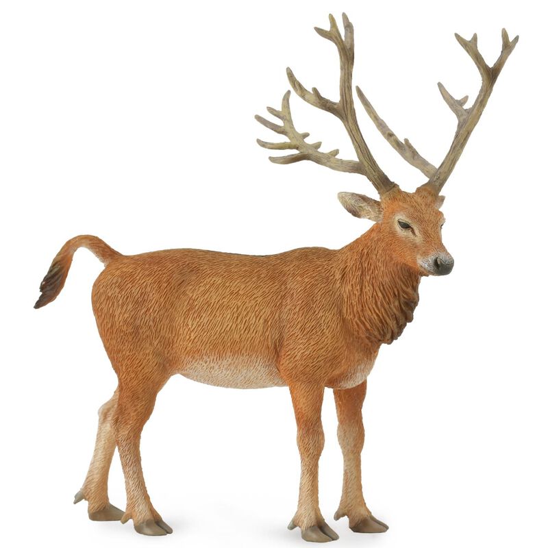 Collecta Pere Davids Deer  Figurine L image number 0