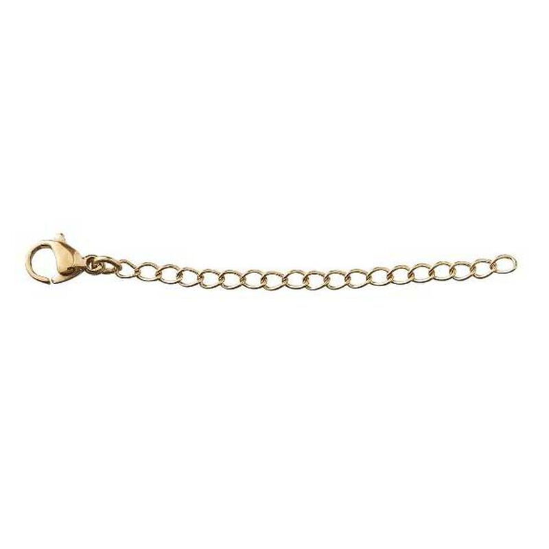 Edblad Extension Chain 5 cm S Gold image number 0